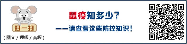 制定篮球交流计划以促进个人技能发展的方法_0