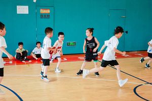 小学篮球基本功训练教学视频